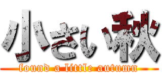 小さい秋 (found a little autumn)