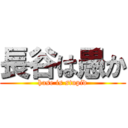 長谷は愚か (hase is stupid)