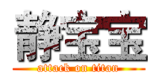 静宝宝 (attack on titan)