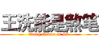 王洗能是煞笔 (Wang Qiwen is Sb)
