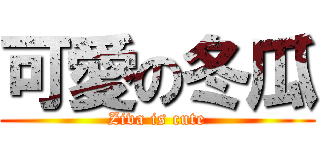 可愛の冬瓜 (Ziva is cute)