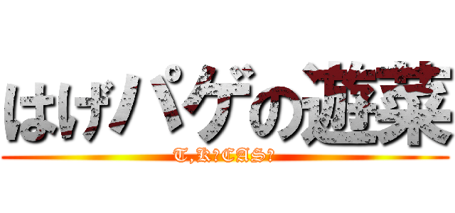 はげパゲの遊菜 (T,K厨CAS主)