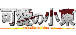 可愛の小東 (attack on titan)