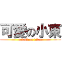 可愛の小東 (attack on titan)