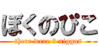 ぼくのぴこ (there were 3 niggas)