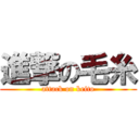 進撃の毛糸 (attack on keito)