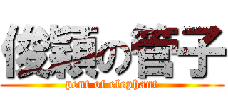 俊穎の管子 (pent of elephant)
