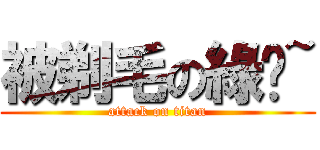 被剃毛の綠貓~ (attack on titan)