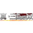 真・三国無双 (the three kingdoms)