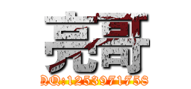 亮哥 (QQ:1253971758)