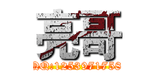 亮哥 (QQ:1253971758)