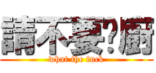 請不要耍廚 (what the fuck)