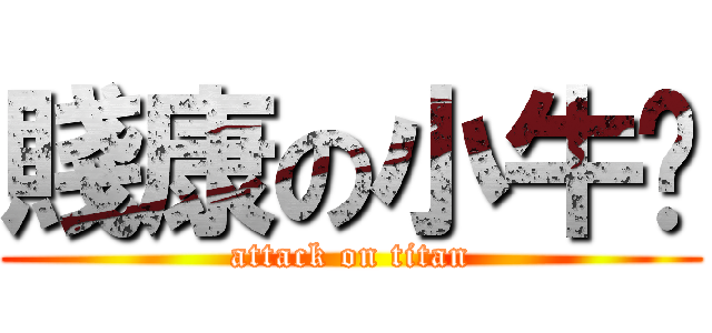 賤康の小牛奶 (attack on titan)