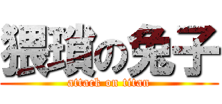 猥瑣の兔子 (attack on titan)