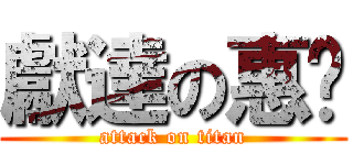 獻達の惠玟 (attack on titan)