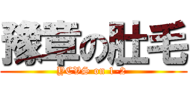 豫章の肚毛 (YCVS on 1-2 )