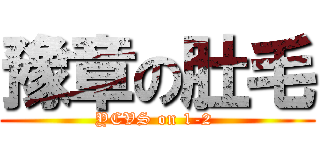 豫章の肚毛 (YCVS on 1-2 )