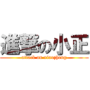 進撃の小正 (attack on xiaozheng)