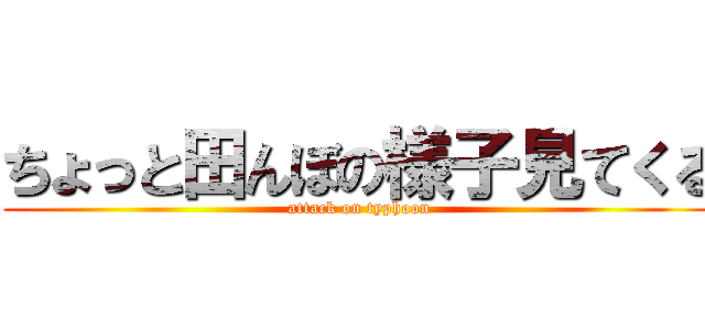 ちょっと田んぼの様子見てくる (attack on typhoon)