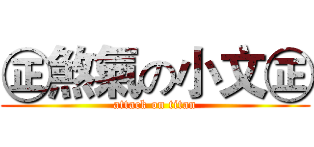 ㊣煞氣の小文㊣ (attack on titan)