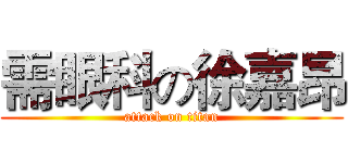 需眼科の徐嘉昂 (attack on titan)