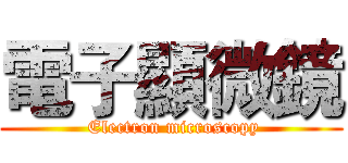 電子顯微鏡 ( Electron microscopy)