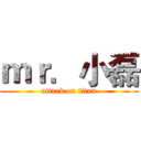 ｍｒ．小磊 (attack on titan)