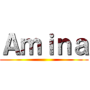 Ａｍｉｎａ ()