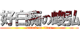 好白痴の峻弘 (attack on titan)