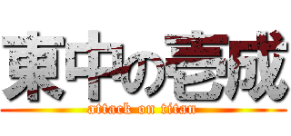 東中の壱成 (attack on titan)