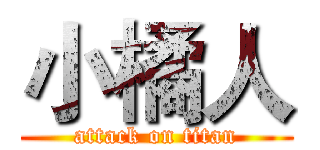 小橘人 (attack on titan)