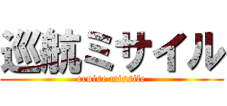 巡航ミサイル (cruise missile)