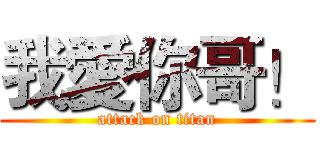 我愛你哥！ (attack on titan)