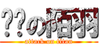 进击の陌羽 (attack on titan)