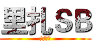 里扎ＳＢ (确认无误)