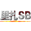 里扎ＳＢ (确认无误)