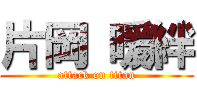片岡 暖絆 (attack on titan)