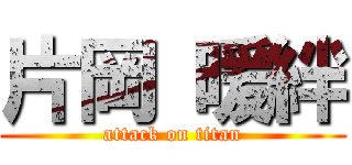 片岡 暖絆 (attack on titan)