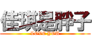 佳琪是胖子 (LOVE YOU)