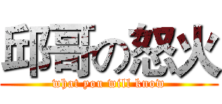 邱哥の怒火 (what you will know)