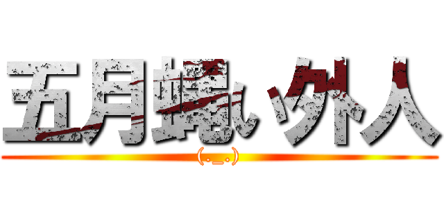 五月蝿い外人 ((._.))