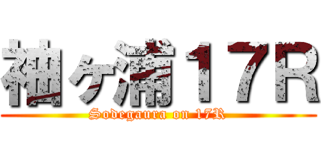 袖ヶ浦１７Ｒ (Sodegaura on 17R)