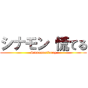 シナモン 慌てる (Sinnamonflurry)