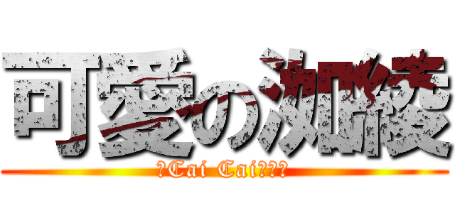 可愛の洳綾 (比Cai Cai更可愛)