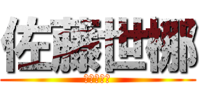 佐藤世梛 (さとうせな)