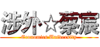 涉外☆蔡宸 (Economics University)