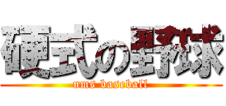 硬式の野球 (nms baseball)