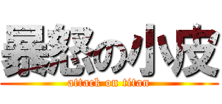暴怒の小皮 (attack on titan)