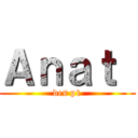 Ａｎａｔ  (des p1)