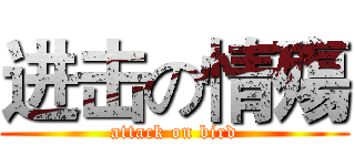 进击の情殤 (attack on bird)